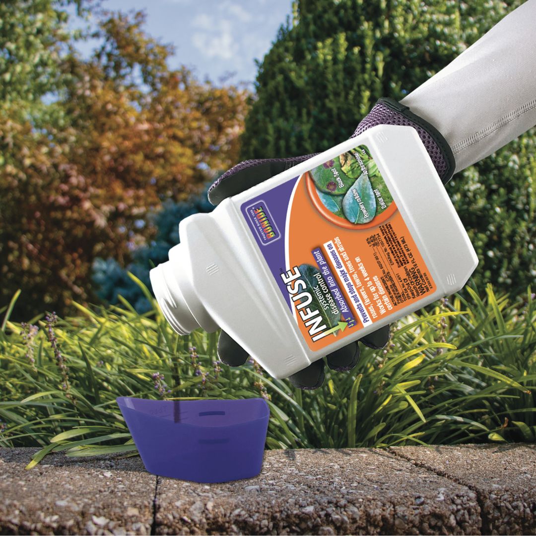 Infuse Systemic Disease Control – Bonide – 16 oz